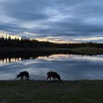 Olnes Pond Campground