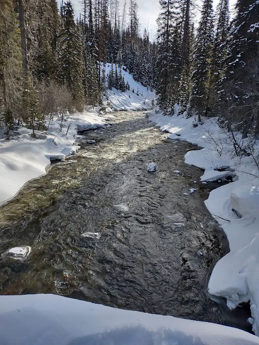 Upper Whitefish Campground 4