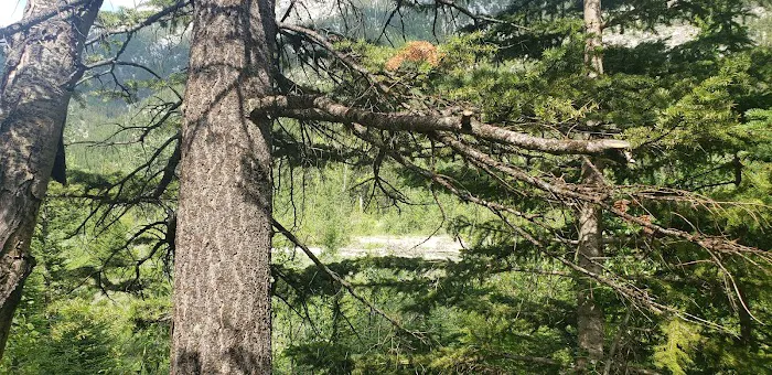 Cave Mountain Campground 8