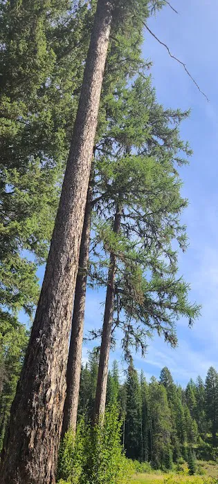 Upper Stillwater Campground 3