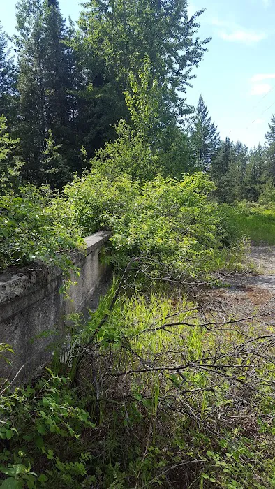 Spring Creek Campground 1