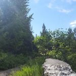 Spring Creek Campground