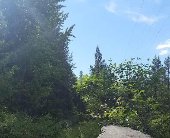Spring Creek Campground