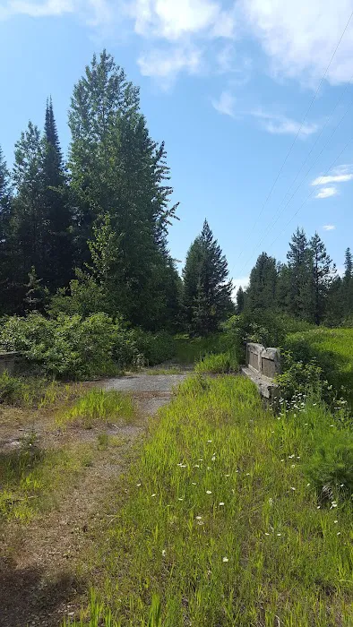 Spring Creek Campground 2