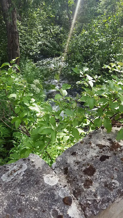 Spring Creek Campground 3