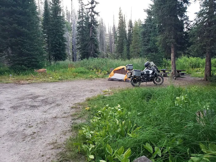 Poet Creek Campground 2