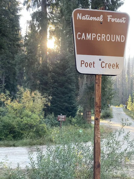 Poet Creek Campground 3