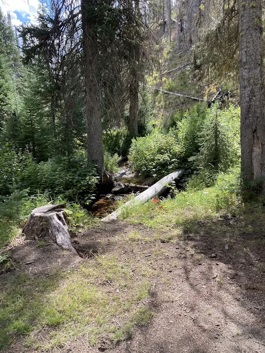 Poet Creek Campground 4