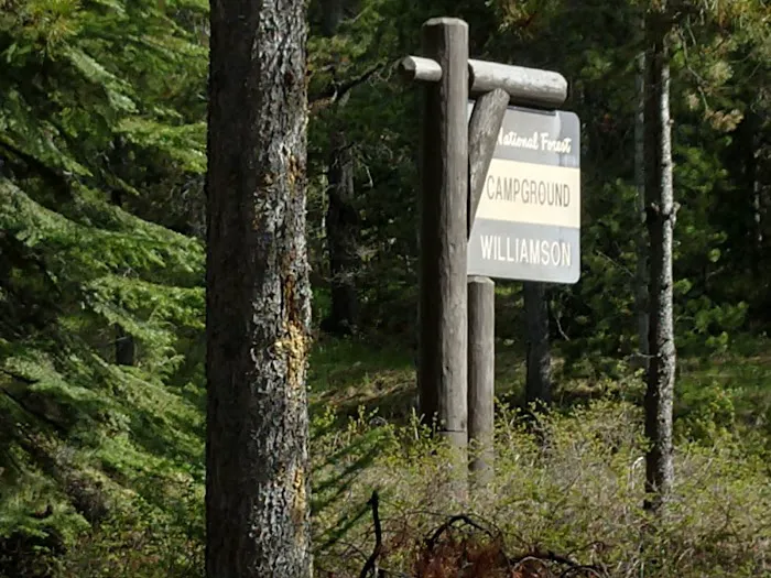 Williamson Campground, USFS 1