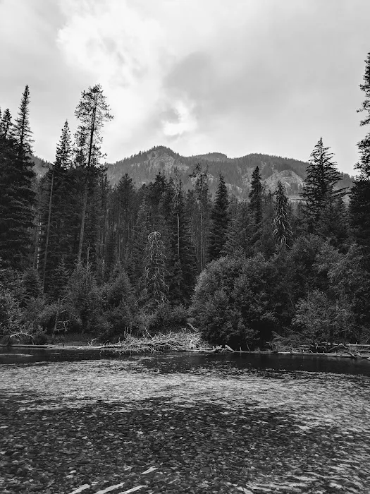 Williamson Campground, USFS 8