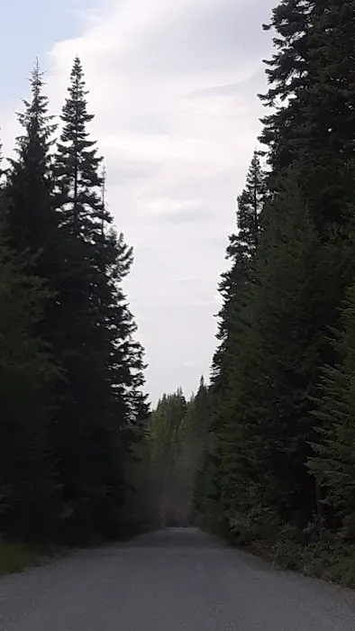 Williamson Campground, USFS 9