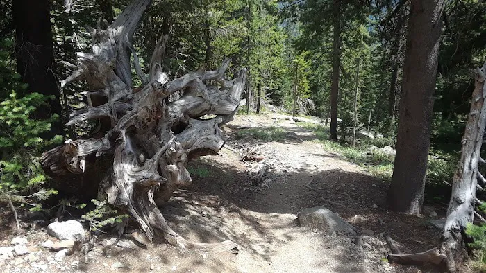 Williamson Campground, USFS 7