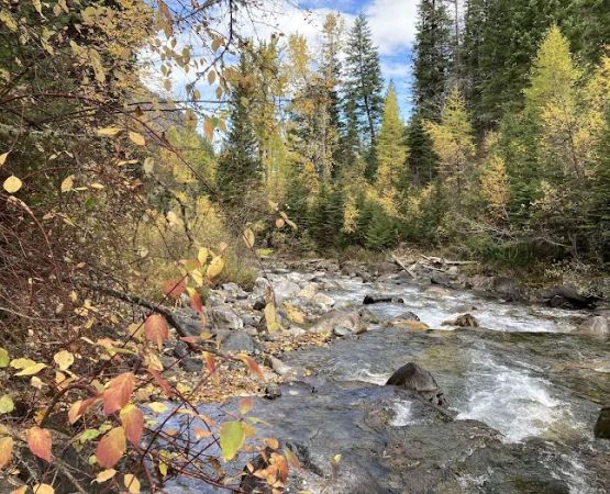 Hurricane creek campground