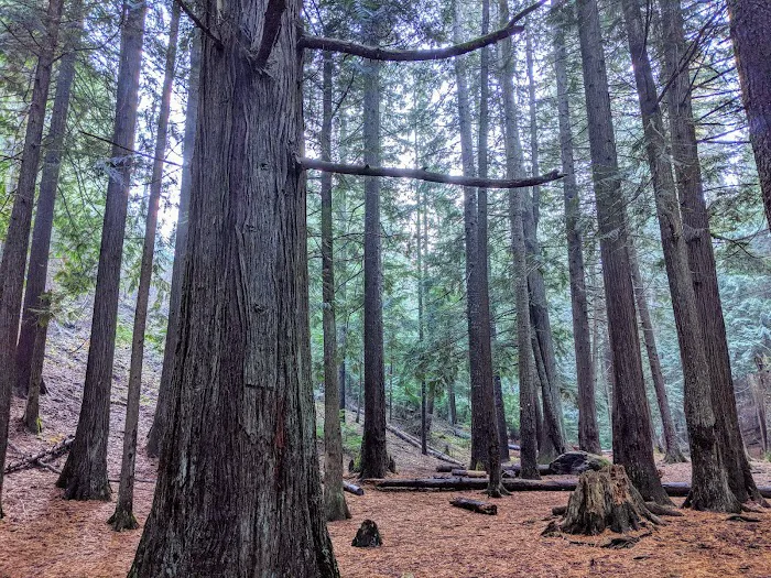 Liberty Lake Regional Park Camp Ground 1