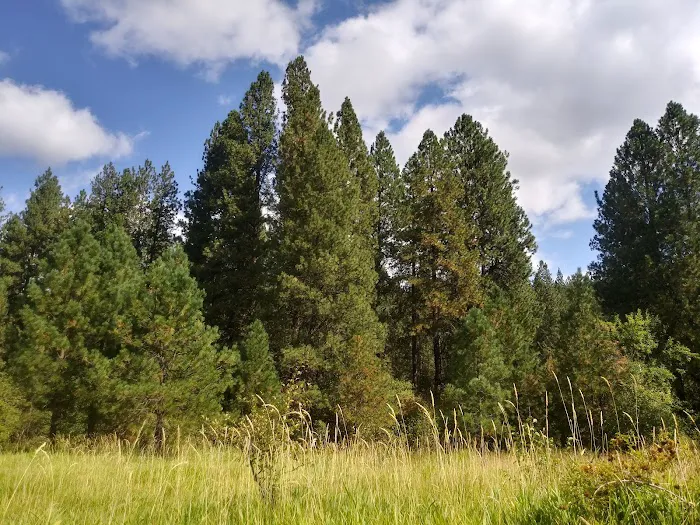 Liberty Lake Regional Park Camp Ground 4