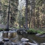 Grasshopper Campground and Picnic Area