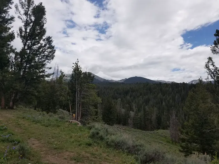 Grasshopper Campground and Picnic Area 2