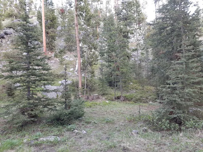 Grasshopper Campground and Picnic Area 4