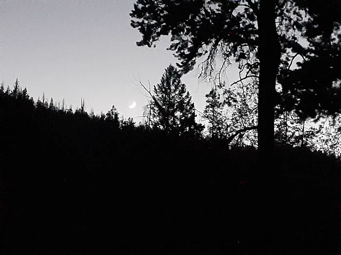 Grasshopper Campground and Picnic Area 8