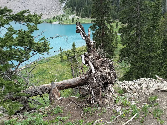 Blue Lakes Hut 8