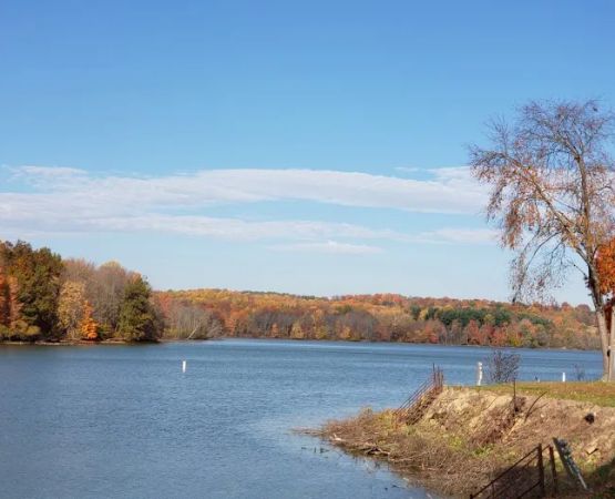 Clearfork Marina & Campground