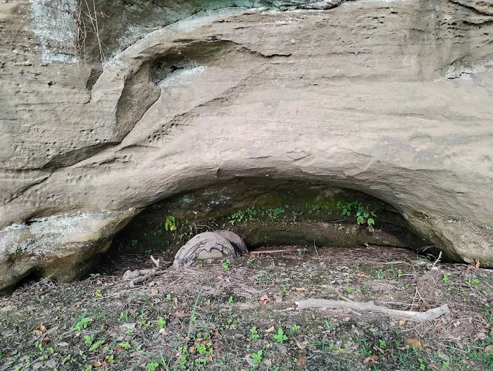 St francisville campground 2