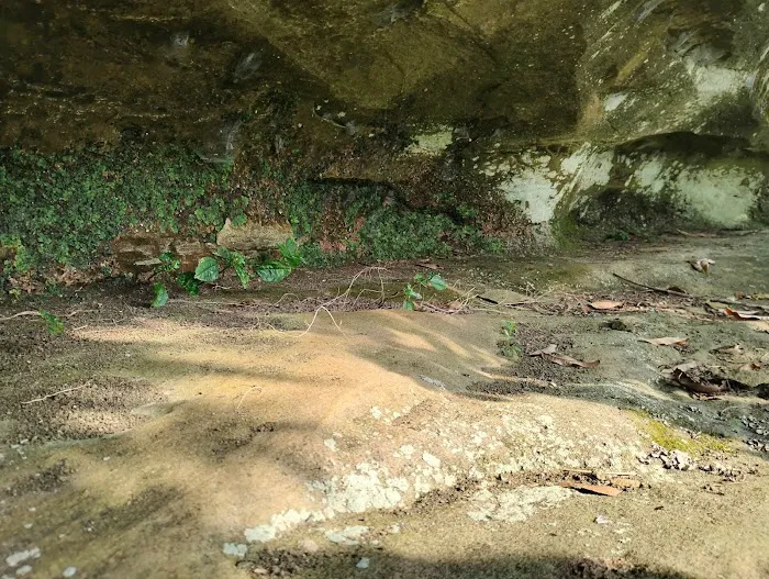 St francisville campground 5