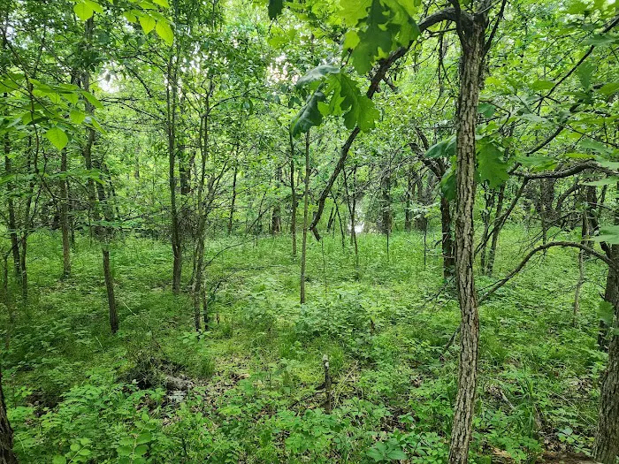 B&S Creekside Retreat LLC. 0