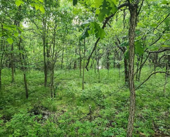 B&S Creekside Retreat LLC.