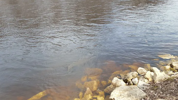 Wolf River Trips & Campground 7