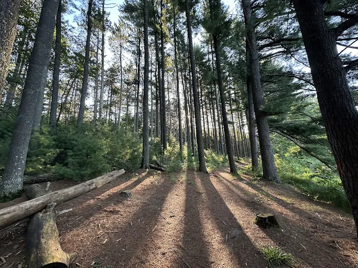 Hartman Creek State Park Family Campground 2