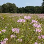 Hartman Creek State Park Family Campground