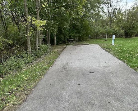 Campsite 164 (Electric Only)