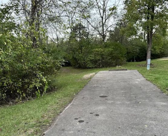 Campsite 158 (Electric Only)