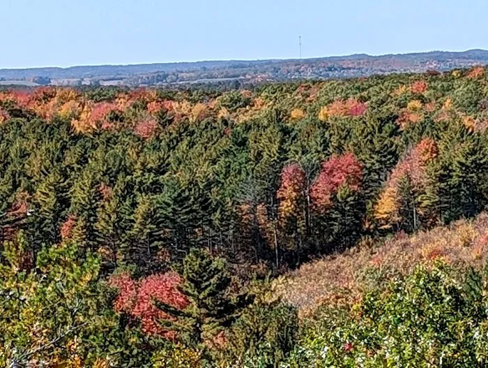 Wildcat Mound Park 1