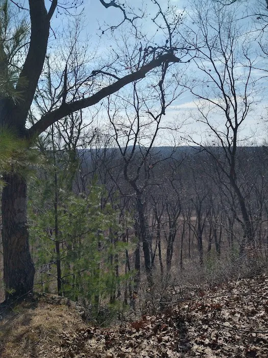 Wildcat Mound Park 9