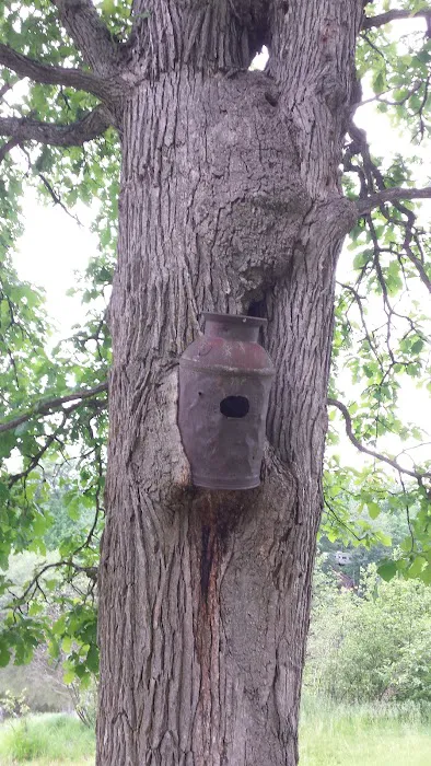 Snyder County Park & Campground 5