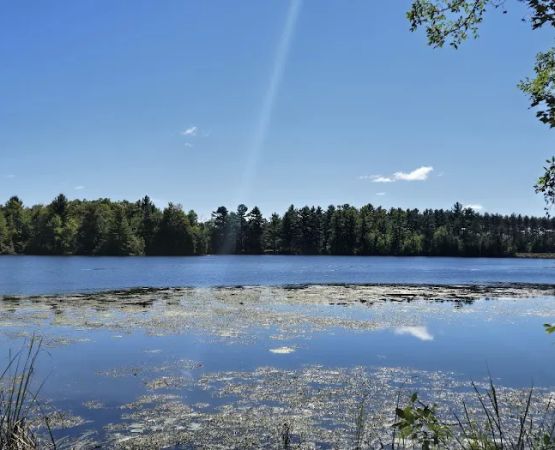 Jordan County Park Campground