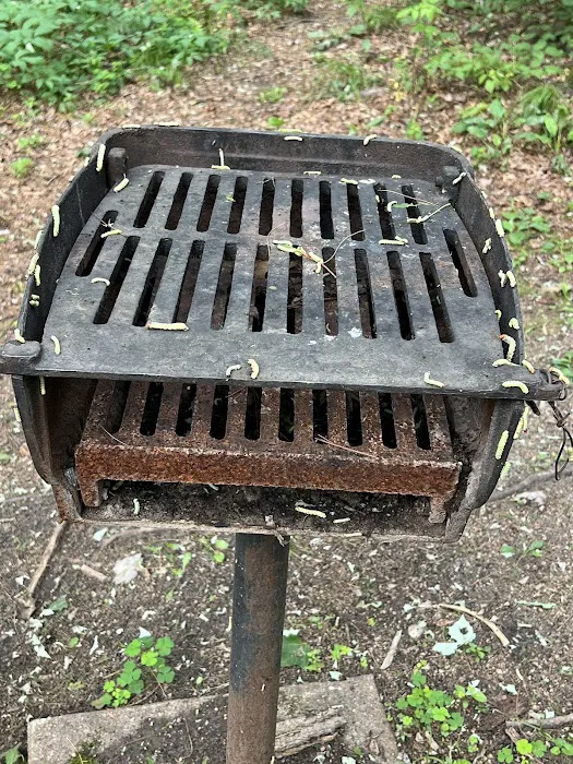 Jordan County Park Campground 4