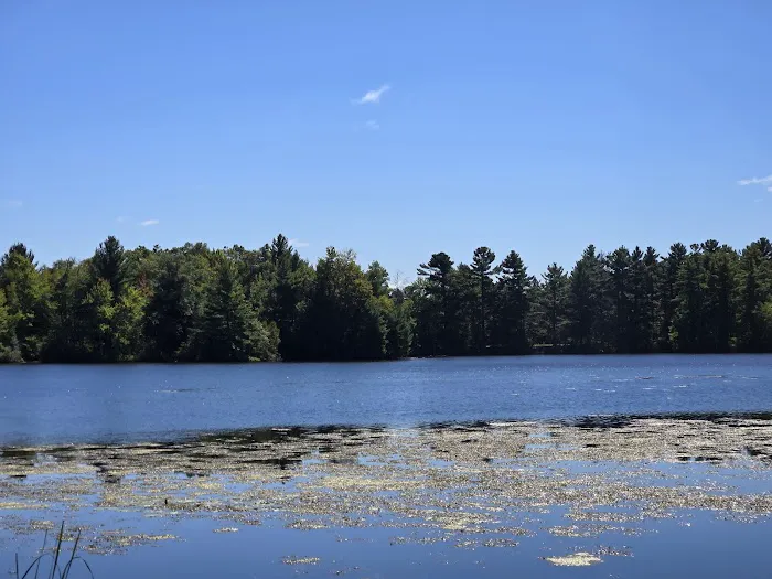 Jordan County Park Campground 6