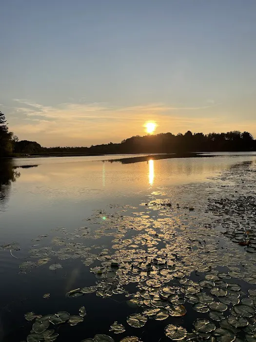 Collins Park 1