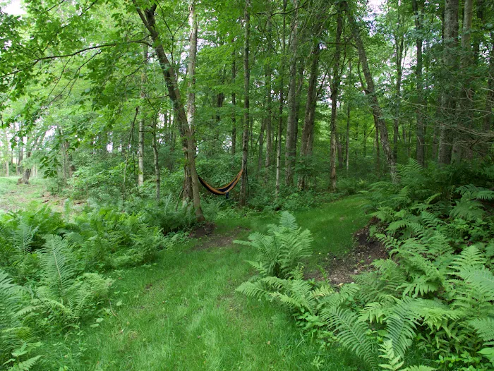 Springhetti Acres 2