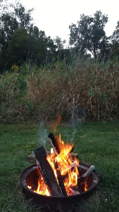 Highway 250 Campground 9