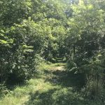 Isinours Station Campground