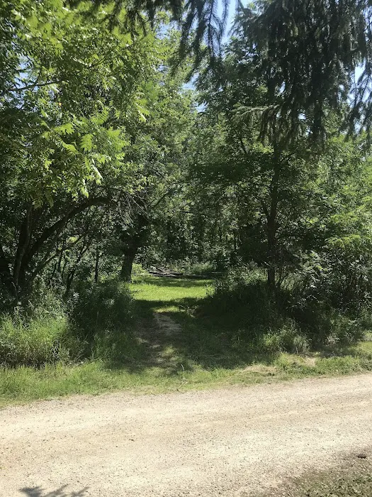 Isinours Station Campground 6