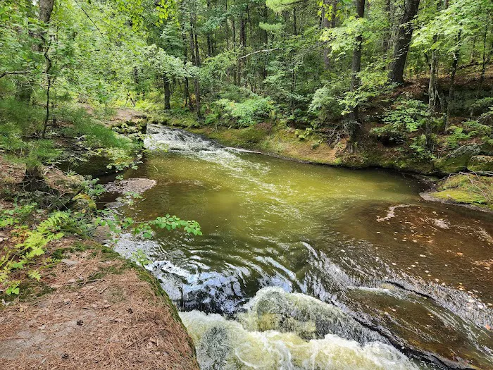 Coon Fork Campground 4