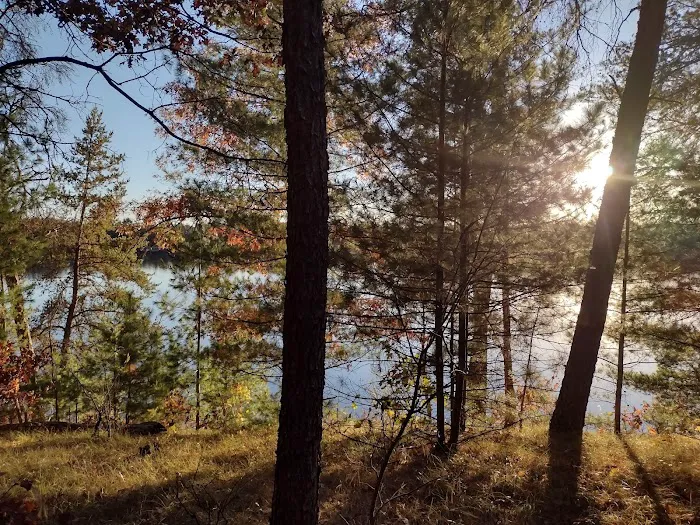 Coon Fork Campground 8