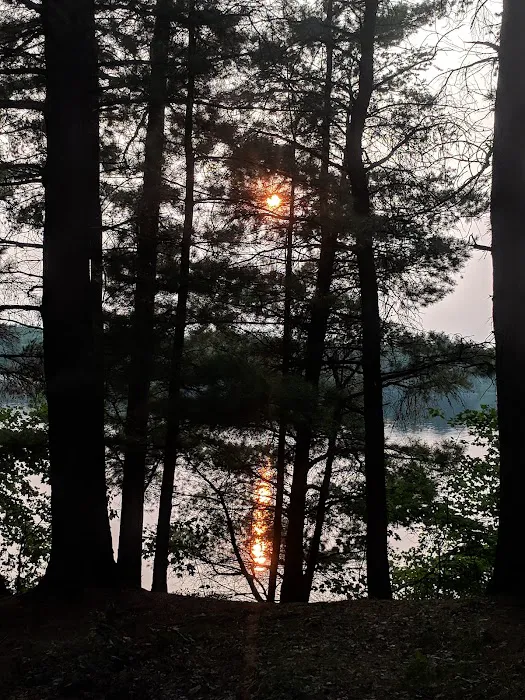 Coon Fork Campground 7