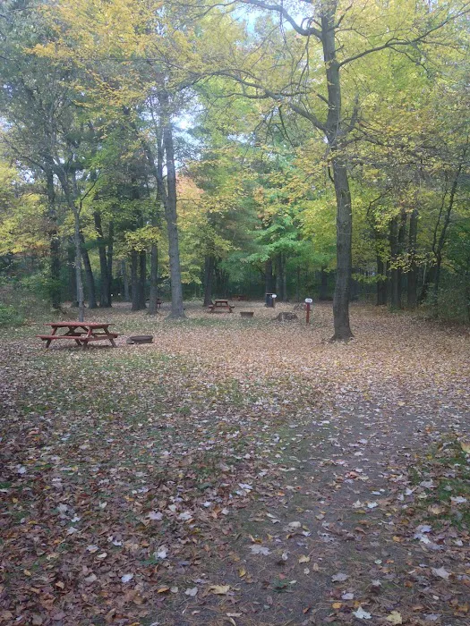 Pine Harbor Campground 5