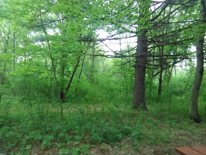 Pine Harbor Campground 8
